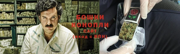 индика Надым