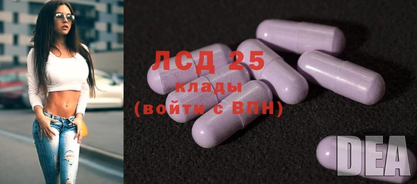 индика Надым