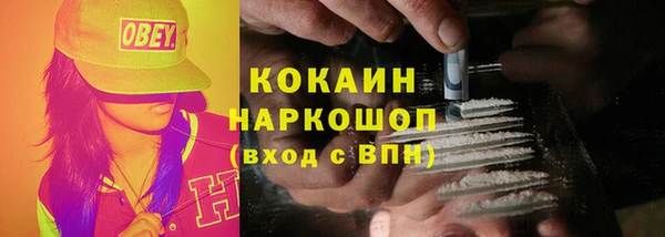 индика Надым