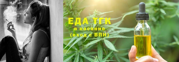 индика Надым