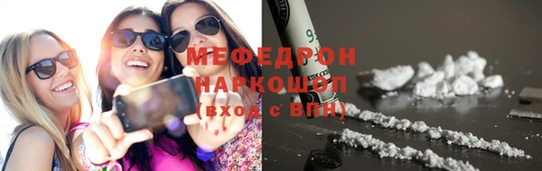 индика Надым