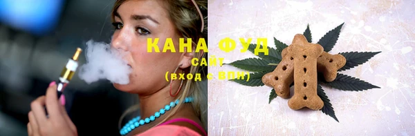 индика Надым