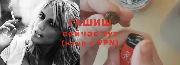 индика Надым