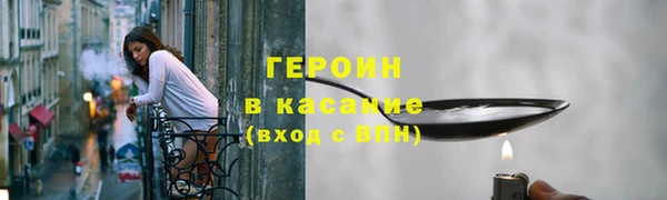 индика Надым