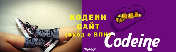 индика Надым
