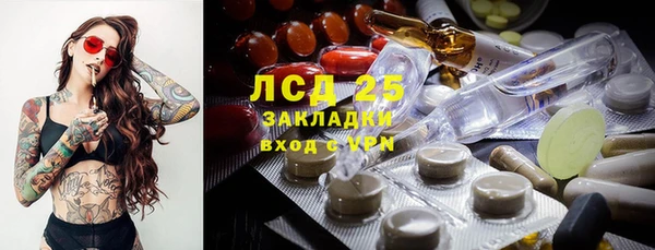 индика Надым