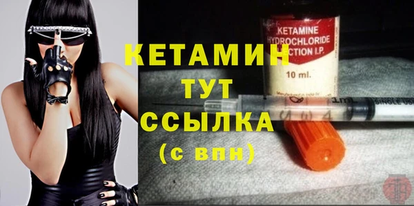 индика Надым