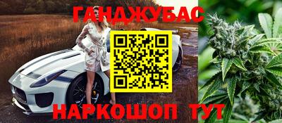 ешки Камышлов