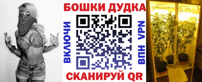 Конопля Bruce Banner площадка формула Нягань